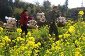 China promises tougher assessment in war on poverty