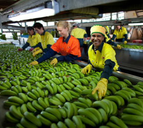 China glad to see ties with Philippines back on right track: FM China glad to see ties with Philippines back on right track: FM