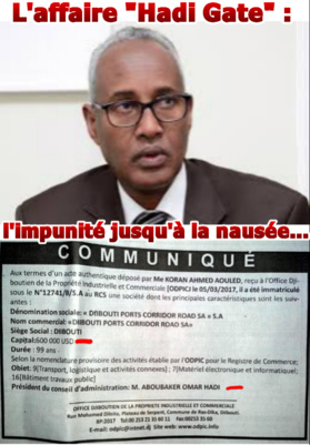DJIBOUTI - L'affaire « Hadi Gate » : l’impunité jusqu’à la nausée… DJIBOUTI - L'affaire « Hadi Gate » : l’impunité jusqu’à la nausée…
