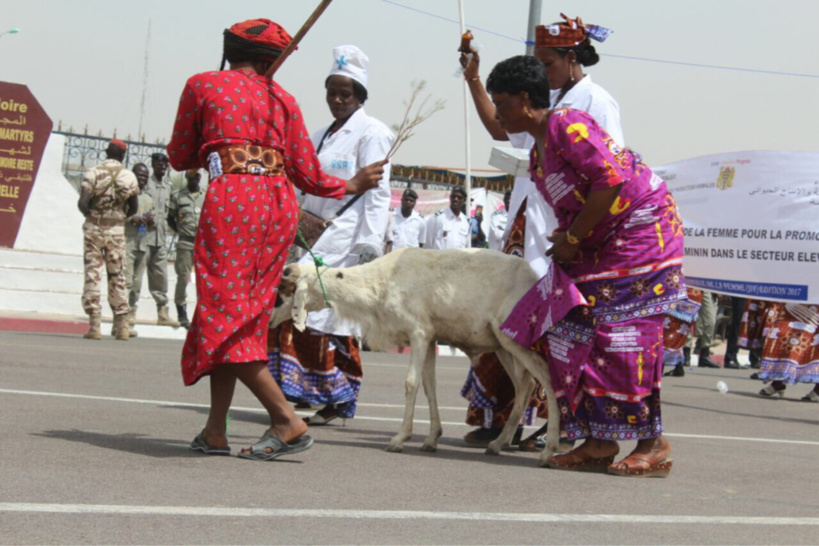 Tchad : Retour en images sur la journée de la femme Tchad : Retour en images sur la journée de la femme