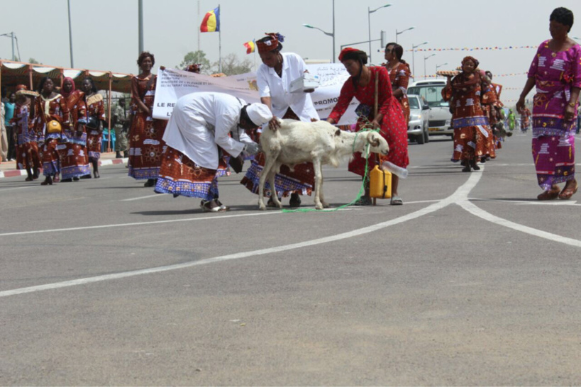 Tchad : Retour en images sur la journée de la femme 