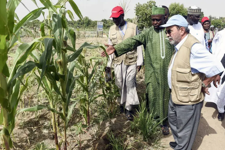 Le Directeur général de la FAO, José Graziano da Silva (à droite), début d’avril 2017, a visité certaines des régions les plus touchées par la faim et la pauvreté au Tchad et dans le nord-est du Nigéria. Photo FAO/Pius Utomi Ekpei