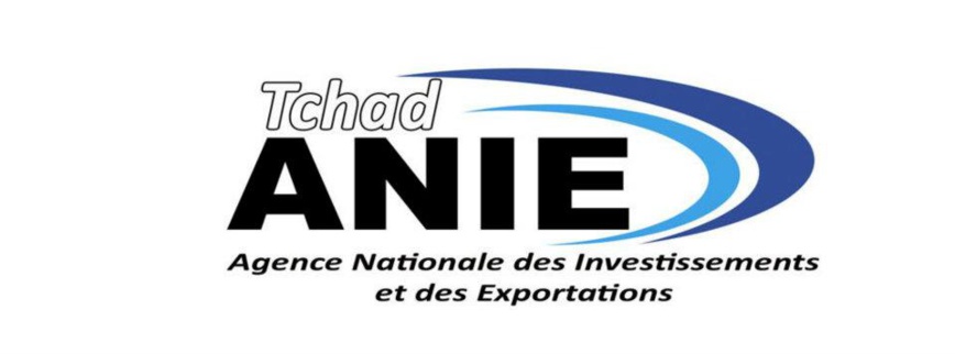 Tchad : Le directeur de l'Agence des Investissements et des exportations remplacé