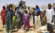 Sud-Darfour : Au moins 30.000 personnes ont fui leurs maisons Sud-Darfour : Au moins 30.000 personnes ont fui leurs maisons