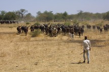 Tchad : "Il est hors de question que notre pays soit dirigé par des aventuriers semi-dictateurs" G.N Tchad : "Il est hors de question que notre pays soit dirigé par des aventuriers semi-dictateurs" G.N