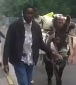 Elections démocratiques en France et en Centrafrique : Une histoire de mentalité Elections démocratiques en France et en Centrafrique : Une histoire de mentalité