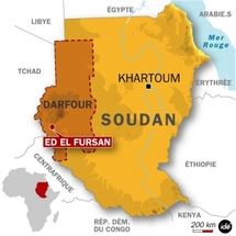 Darfour : N'Djamena négocie une libération imminente de l'otage française en mauvaise santé
