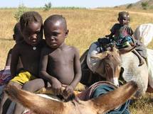 Tchad : L'insécurité continue d'affecter la protection des civils et de compromettre l'accès humanitaire Tchad : L'insécurité continue d'affecter la protection des civils et de compromettre l'accès humanitaire