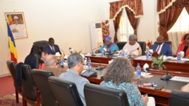 Réunion du  Haut Comité Interministériel de la Stratégie Nationale de Couverture Sanitaire Universelle au Tchad.