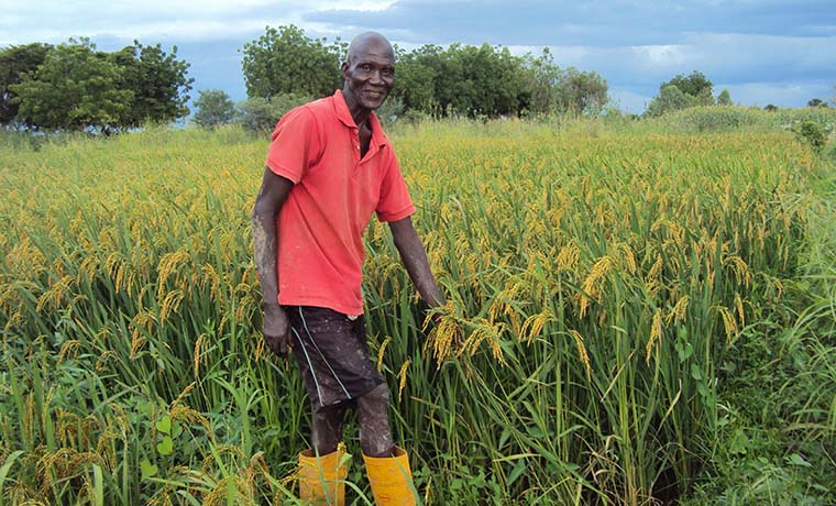 Crédits photo : Itrad-Tchad Crédits photo : Itrad-Tchad