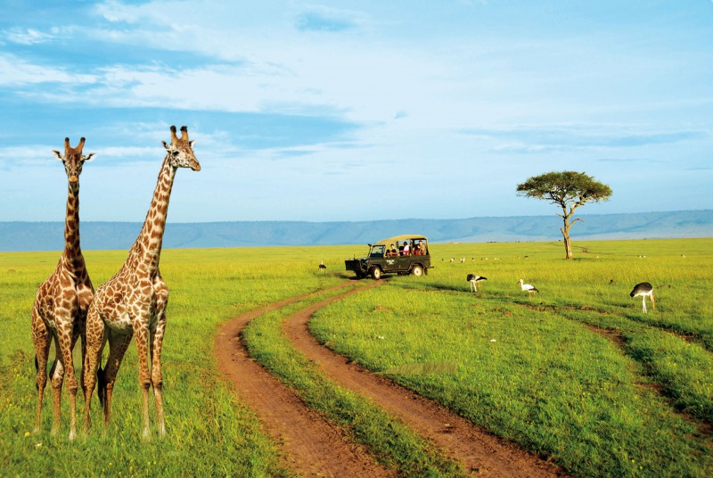 Paysage en Afrique. Crédits : Sources