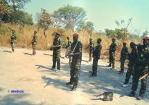 Centrafrique : La rébellion du MNSP lance un appel pour que la paix se propage