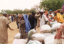Tchad : Le prix des céréales en hausse croissante, cri de détresse au gouvernement Tchad : Le prix des céréales en hausse croissante, cri de détresse au gouvernement
