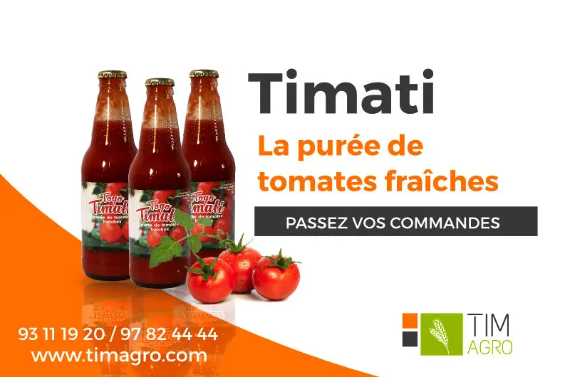 A la découverte de « Togo Timati », la purée de tomate fraîche made in Togo
