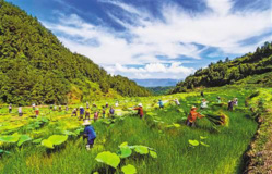 China's poverty reduction success proves institutional advantage: UN officials