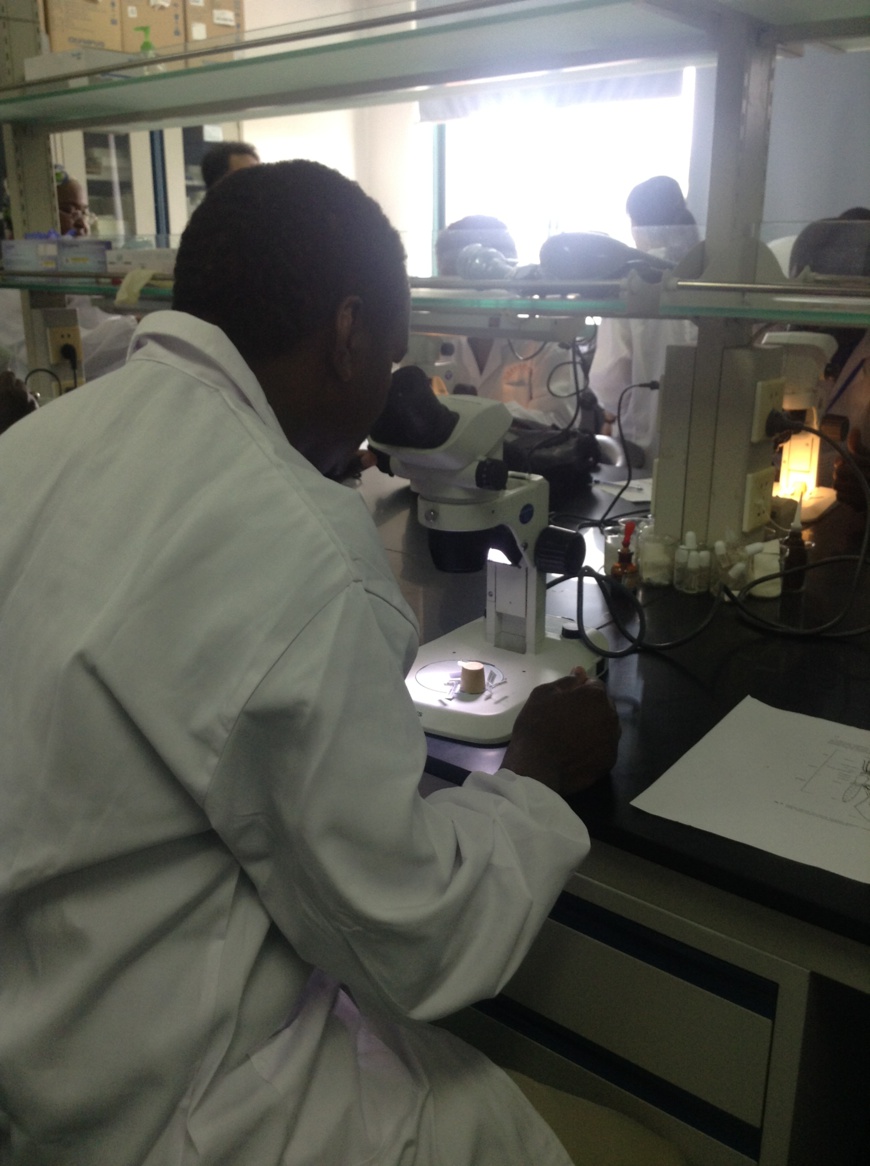 Dr Djiddi Ali Sougoudi en examen microscopique de l'identification des anophèles. (2): Dr Djiddi Ali Sougoudi et Mme Tsugu, championne chinoise de microscopie de parasites aux olympiades de Chine lors de la formation sur la microscopie à l'institut des maladies parasitaires de Jiangsu.