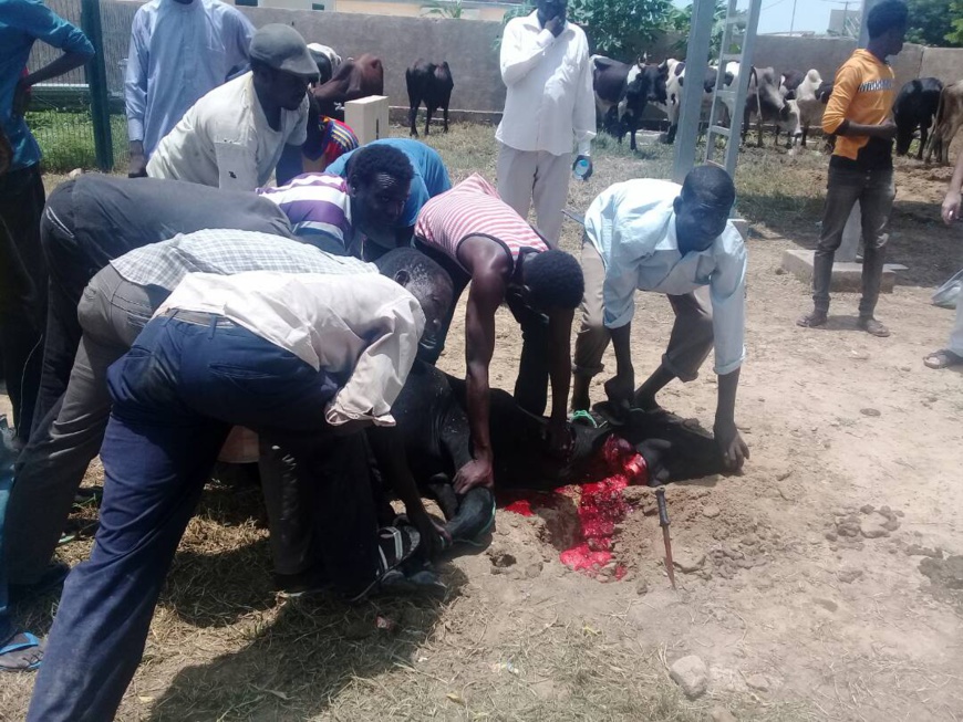 L'association Itimad s'est portée à la rescousse des personnes nécessiteuses. Alwihda Info L'association Itimad s'est portée à la rescousse des personnes nécessiteuses. Alwihda Info