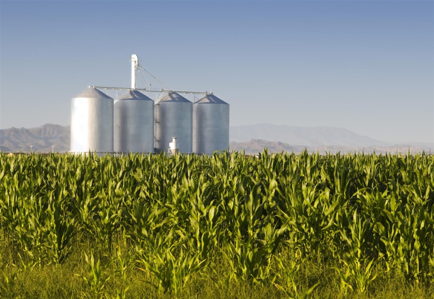 Agribusinesses and African Smallholders Seize $1 Trillion Food Market as Meals Replace Minerals to Restart African Economic Growth, New Report