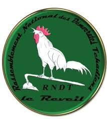 21ème anniversaire du Rassemblement National des Démocrates Tchadiens "RNDT le Réveil" 21ème anniversaire du Rassemblement National des Démocrates Tchadiens "RNDT le Réveil"