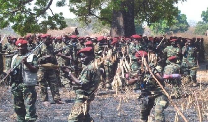 © Alwihda / Les combattants du FPDC pendant leurs entrainement dans la brousse.