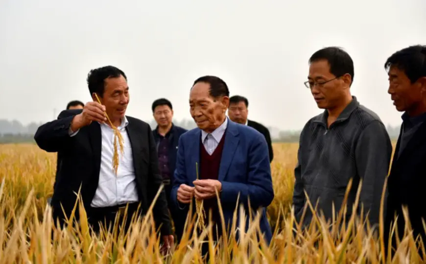Yuan Longping (second left), the "father of hybrid rice", checks the growth of hybrid rice in a field at an agricultural technology institute in Handan City, north China’s Hebei province, October 15. (Photo by Shi Ziqiang from People’s Daily)