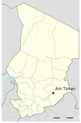 Am Timan : Une femme retrouvée morte avec une dizaine de coups de couteau Am Timan : Une femme retrouvée morte avec une dizaine de coups de couteau