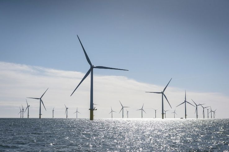 Un champ d'éoliennes en mer. Crédits photo : sources Un champ d'éoliennes en mer. Crédits photo : sources