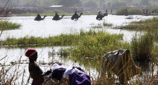 Ngouboua (Tchad), le 19 janvier 2015. Chameaux traversant le lac Tchad © Reuters/Emmanuel Braun Ngouboua (Tchad), le 19 janvier 2015. Chameaux traversant le lac Tchad © Reuters/Emmanuel Braun