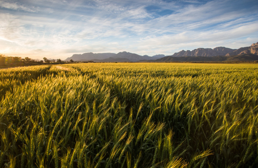 (Shutterstock) (Shutterstock)