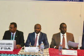 Le FSA entend financer des projets de développement économique du Tchad
