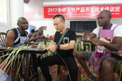 Beijing disproves Tillerson's inappropriate words on China-Africa relations