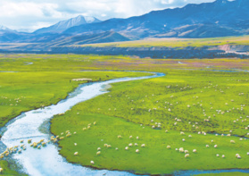 China’s first national park to open in 2020