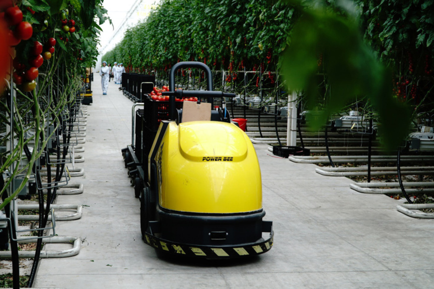 An autonomous driving vehicle transports tomatoes at a smart greenhouse in Beijing on Apr. 25, 2017. (Photo by He Yong from People’s Daily)