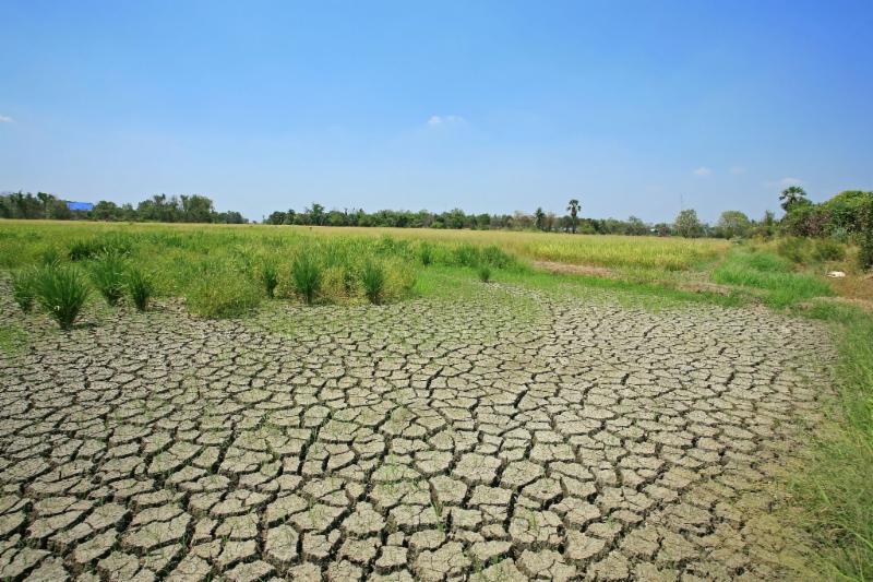 Photo credit: Blanscape/Shutterstock.com Photo credit: Blanscape/Shutterstock.com