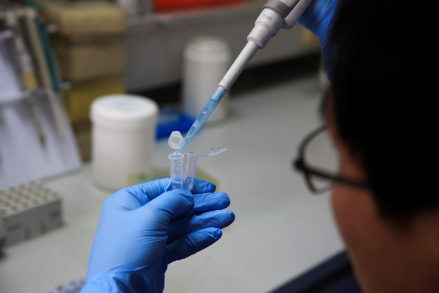 A researcher prepares for a test at a national key laboratory of silkworm genome biology in Southwest University, Chongqing municipality, May 31, 2017. (Photo by CFP)