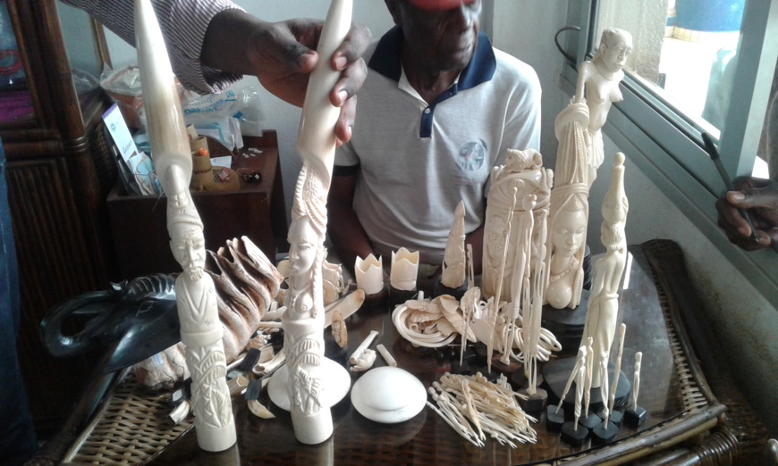 Les enquêtes  ont démontré que les Chinois sont généralement les principaux acheteurs d’ivoire de cette boutique. Les enquêtes  ont démontré que les Chinois sont généralement les principaux acheteurs d’ivoire de cette boutique.