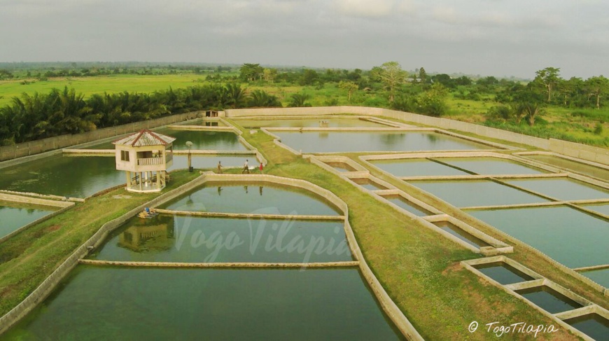 Photo d'un drone. Crédits : TOGO TILAPIA Photo d'un drone. Crédits : TOGO TILAPIA