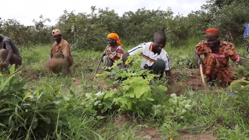 Crédits photo : COOPI - sécurité alimentaire au Logone oriental, Tchad Crédits photo : COOPI - sécurité alimentaire au Logone oriental, Tchad