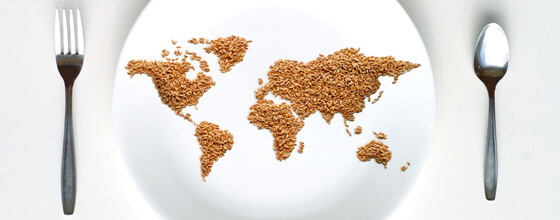 La France octroie 1.5 milliard FCFA pour lutter contre l’insécurité alimentaire au Tchad La France octroie 1.5 milliard FCFA pour lutter contre l’insécurité alimentaire au Tchad