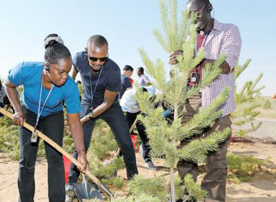 African media delegates plant trees in Kubuqi desert, July 2017. Photo by Ma Gengping