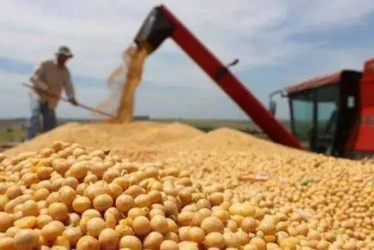 China to diversify supply system of soybean import