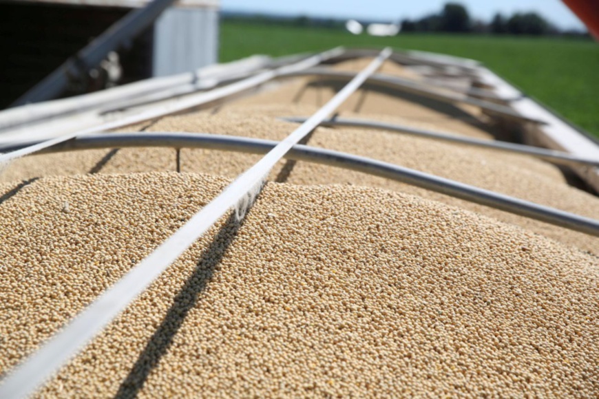 US farmers face risk of losing Chinese market: official