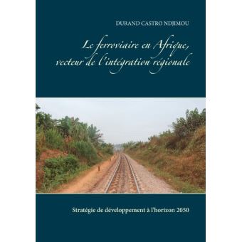 Les pays africains n'ont pas véritablement mis en place une stratégie pour faire du rail un levier de développement et d'intégration.