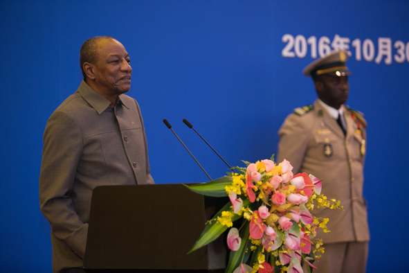 Commentary: Vitality highlights China-Guinea community of common destiny Commentary: Vitality highlights China-Guinea community of common destiny