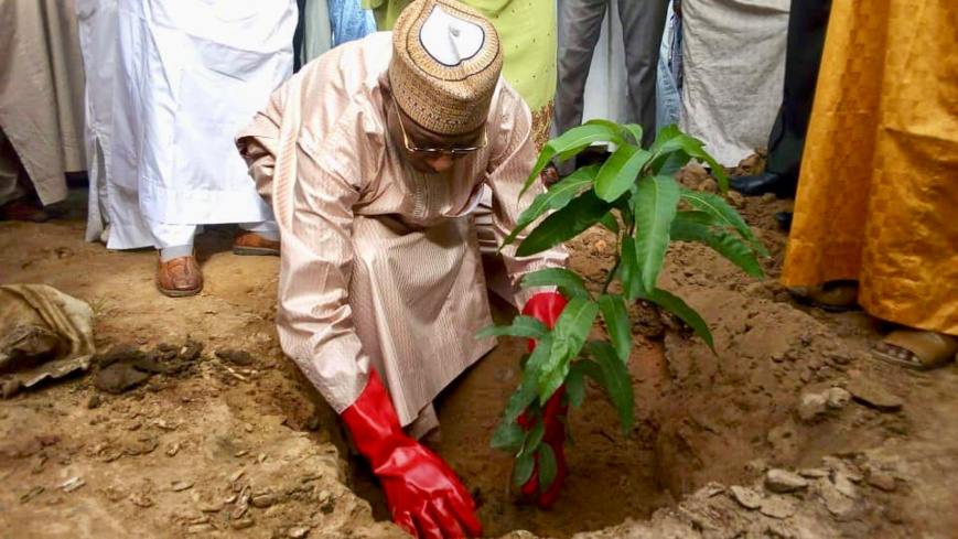 La délégation générale du gouvernement auprès de la commune de N’djamena a organisé une journée de nettoyage et de mise en terre des plants ce jeudi 30 août 2018. Alwihda Info/N.C.