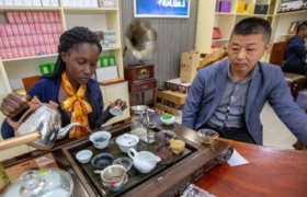 China, Africa to embark on new journey of economic and trade cooperation: senior official 