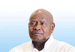 China, Uganda see remarkable achievements in economic cooperation: Ugandan President