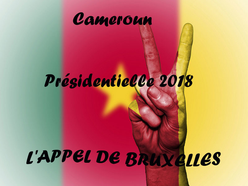 Présidentielle 2018 au Cameroun : la diaspora lance un appel depuis Bruxelles Présidentielle 2018 au Cameroun : la diaspora lance un appel depuis Bruxelles