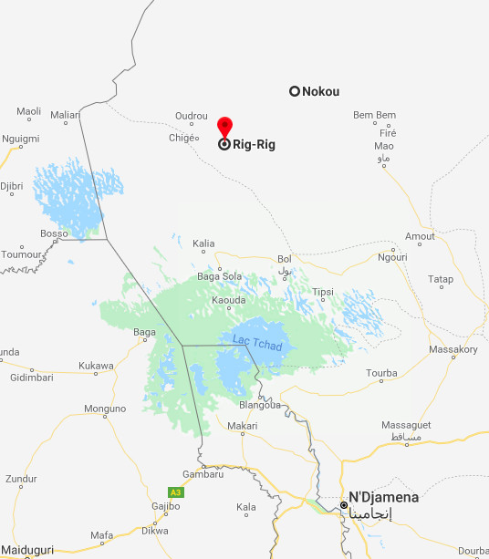 Tchad : un incendie causé par un enfant de 8 ans ravage 183 hectares