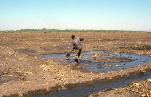 Lac Tchad.  © AFP